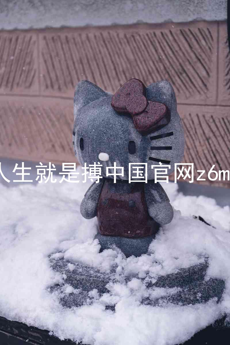 人生就是搏中国官网z6mg